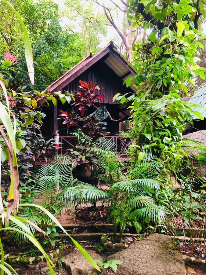 Bambu Huts Hotel บ้านใต้ ภายนอก รูปภาพ