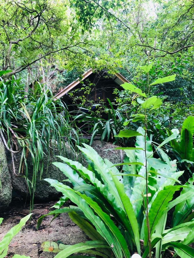 Bambu Huts Hotel บ้านใต้ ภายนอก รูปภาพ